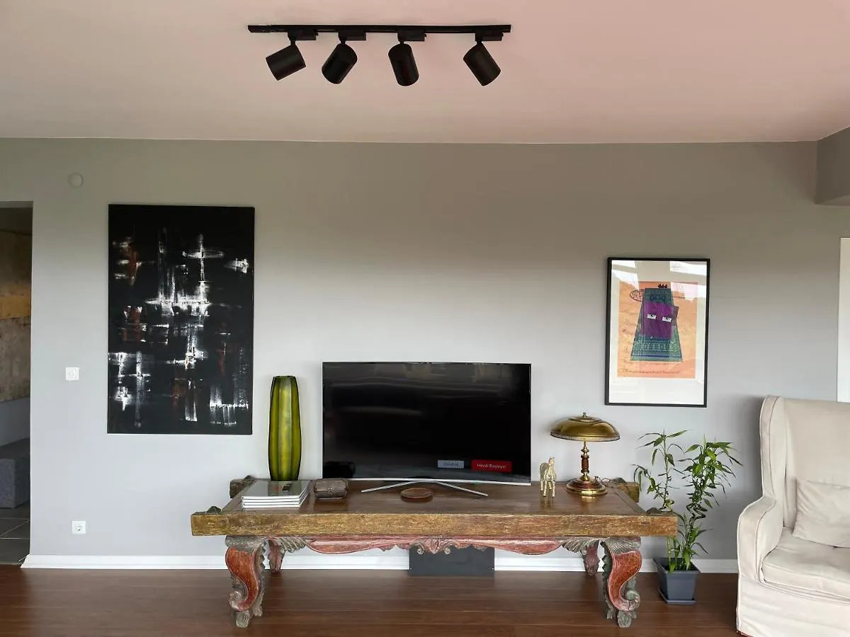 Renovu Premium Flats In Bosphorus Apartment Istanbul