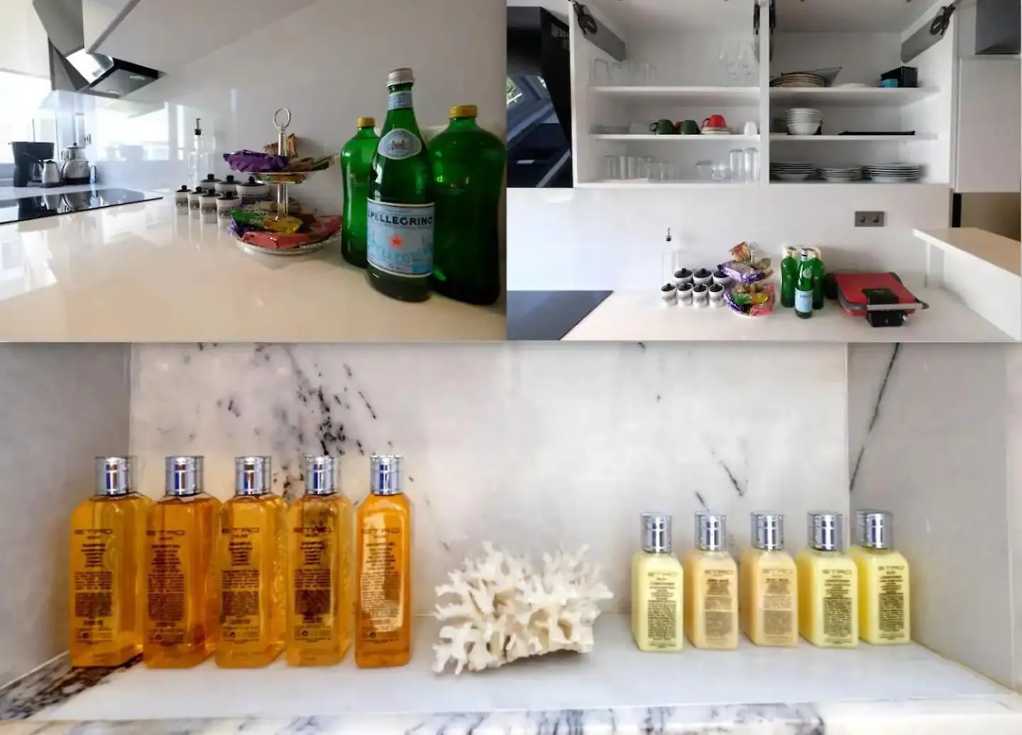 Renovu Premium Flats In Bosphorus Apartment Istanbul Turkey